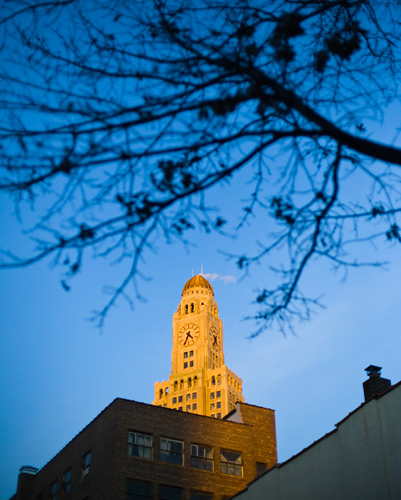 _mg_0329