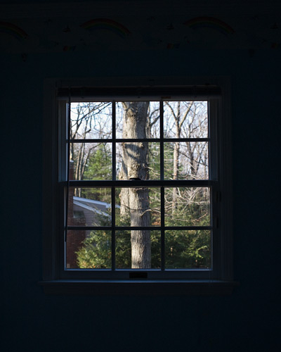 091206_2982